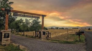 Image of Llama-Stay at Spooky Tooth Ranch - Mtn Views!