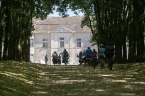 Image of Le Tilleul de Ray