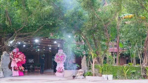 Image of Ali Home