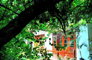 Image of Solitary Resort