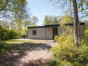 Image of Adapted Bungalow in Appelscha With Terrace