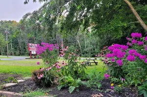 Image of Hill Top Motel