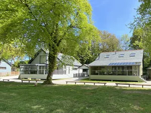 Image of Primrose