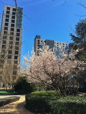 Image of Beijing Yilejia Apartment
