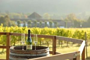 Image of Denbies Vineyard Hotel