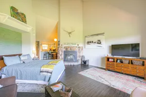 Image of Dog-friendly Pagosa Springs Studio: Grill & Views!