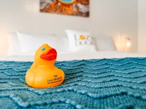 Image of Lazy Duck Inn