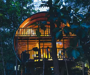 Image of woodland sanctuary