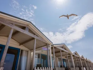 Image of Lodge on the Beach of Wijk aan Zee