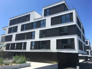 Image of B&B Kelly Plus