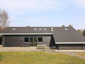 Image of 12 person holiday home in Hals