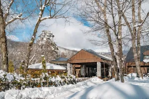 Image of Hotel Sierra Resort Hakuba