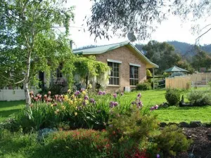 Image of Stringybark, Halls on Falls Homestead