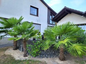 Image of Regal Apartment in Pracht with Garden and Grill