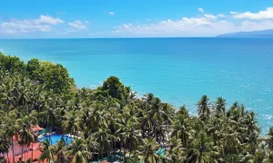 Image of Havelock Island Beach Resort
