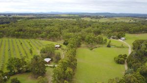 Image of Cabins on Halls