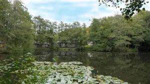 Image of Warrenwood Country Park