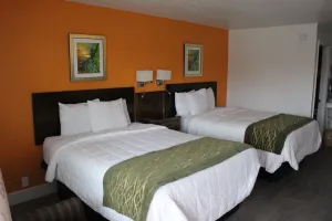 Image of Americas Best Value Inn & Suites Williamstown