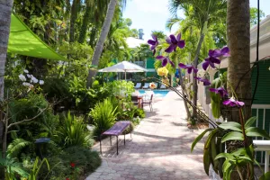 Image of Almond Tree Inn - Adults Only