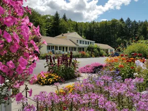 Image of Bay Top Motel