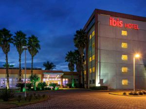 Image of ibis Piracicaba