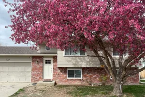 Image of RMNP Retreat Group Friendly Home near Estes Park