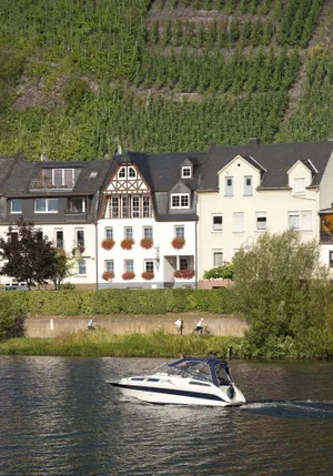 Image of Mosel Panorama