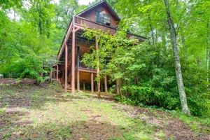 Image of Deer Haven Cabin 5 Mi to Dtwn Blue Ridge!