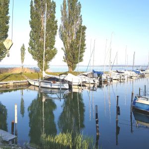 Image of Littoral Lac