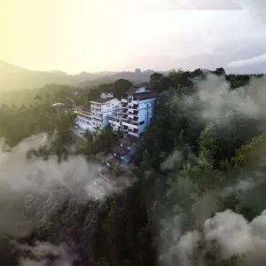 Image of The View Munnar