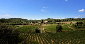 Image of Domaine de Palats