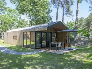 Image of Modern Chalet With air Conditioning, on a Holiday Park at 12 km. From Eindhoven