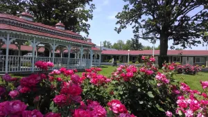 Image of Murray Inn and Art Gallery