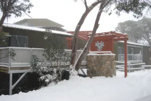 Image of Elkhorn 10 AMS Mt Buller