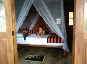 Image of Apurvi Homestay