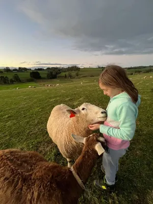 Image of Jilly Park Farmstay Experience Discover Authentic Farm Life Complimentary Breakfast Included