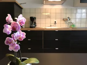 Image of Apartmenthaus Marten