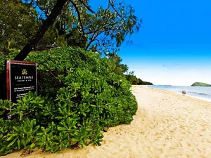 Image of Temple 121 Modern Spacious Palm Cove 2 Brm 2 Bth Resort Apartment With Courtyard