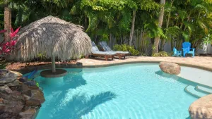 Image of Coconut Breeze Cabin