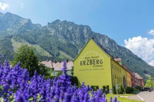 Image of Erzberg Alpin Resort by ALPS RESORTS