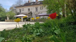 Image of Domaine De Marguerite