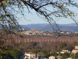 Image of Les Amandiers