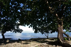 Image of Kohchang Privilege