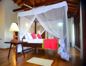 Image of Tropical Retreat