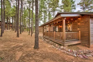 Image of 3 Mi to Fool Hollow Lake Romantic Show Low Cabin