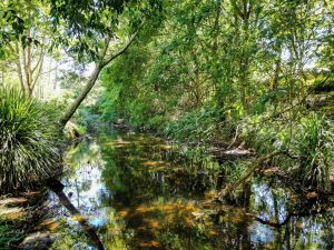 Image of Tranquil Getaways On Obi Maleny