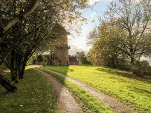 Image of Windmill On The Farm