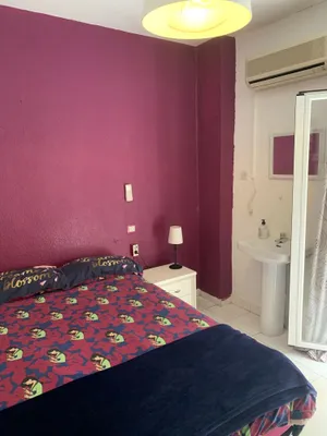 Image of Barbieri Granada Pensión