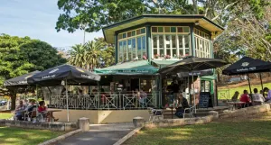 Image of Inner-city Apartment Minutes Walk to Dining Hubs