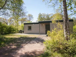 Image of Adapted Bungalow in Appelscha With Terrace